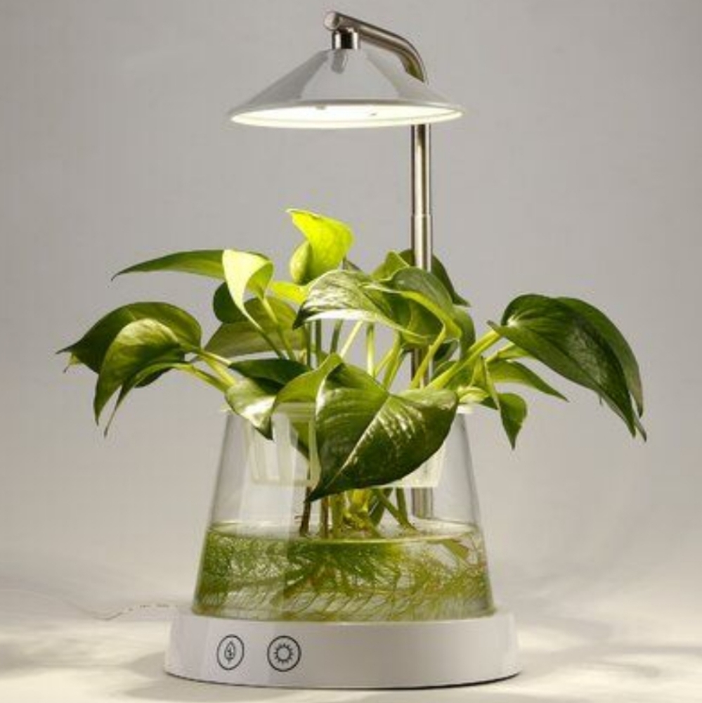 Plant Grow Lamp